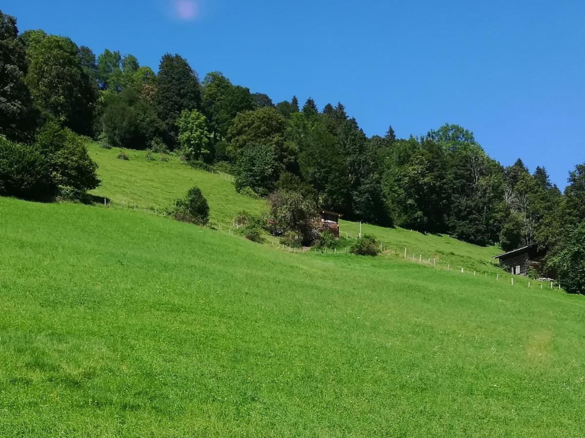 Appartement Maurer Niederau Exteriér fotografie